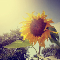 愛(ài)樂(lè)中國(guó)劉總